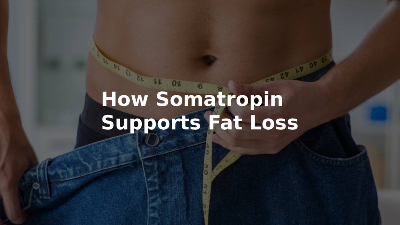 How Somatropin Supports Fat Loss