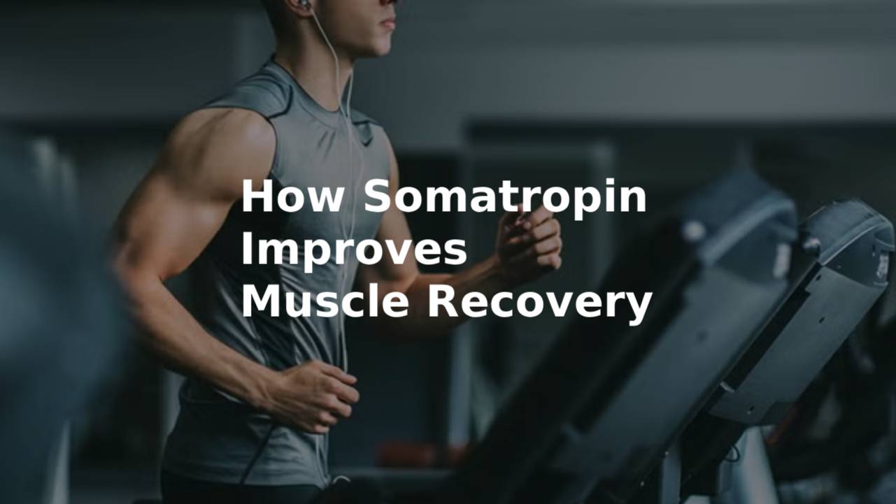 How Somatropin Improves Muscle Recovery